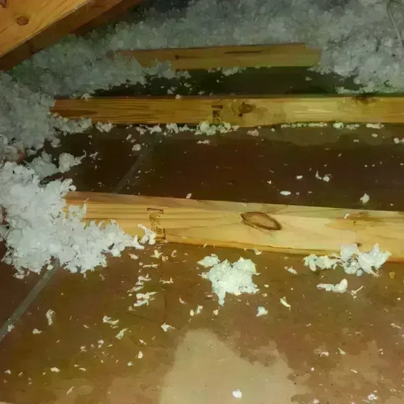 Attic Water Damage in Knoxville, GA