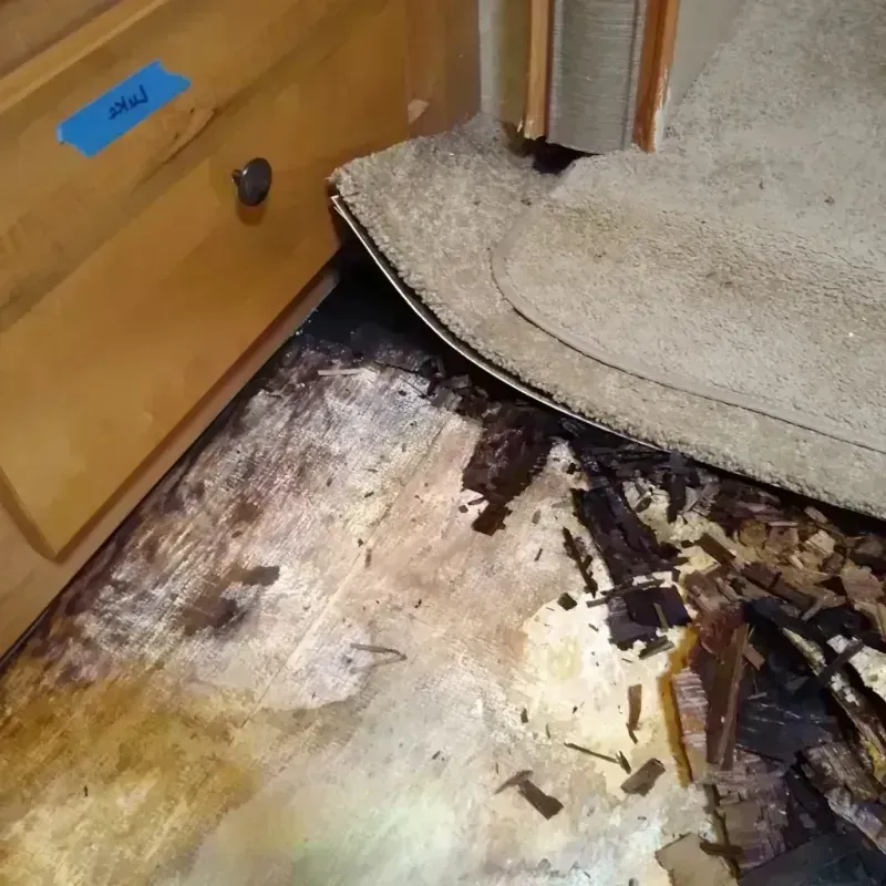 Wood Floor Water Damage in Knoxville, GA